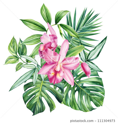 Exotic pink orchid flowers, palm leaves drawn in watercolor. Botanical trendy composition with tropical leaf hand draw  111304973