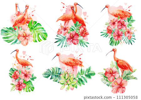 Tropical flower, palm leaves and ibis bird set. Jungle botanical watercolor illustrations flora, monstera leaf, hibiscus 111305058