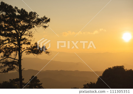 travel and people activity concept with large pine with layer of mountain and cloudy sky background travel and people activity concept with large pine with layer of mountain and cloudy sky background 111305351