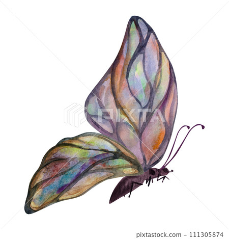 Hand drawn watercolor illustration butterfly fairy wings gem crystal insect moth. Tourmaline pearl labradorite opal. Single object isolated on white background. Design print, shop, wedding, birthday 111305874