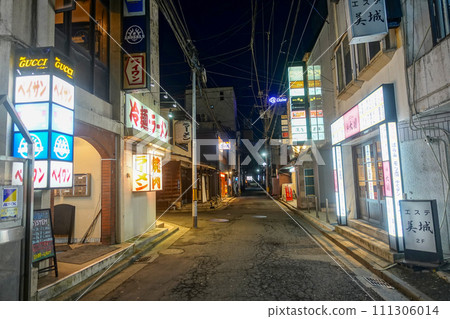 盛岡市夜景 111306014