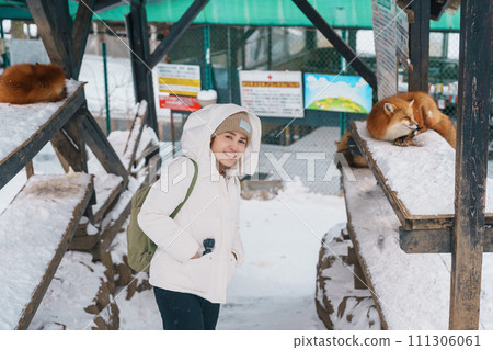 Woman tourist with Cute fox on snow in winter season at Zao fox village, traveler sightseeing Miyagi prefecture. landmark and popular for attraction near Sendai, Tohoku, Japan. Travel and Vacation Woman tourist with Cute fox on snow in winter season at Zao fox village, traveler sightseeing Miyagi prefecture. landmark and popular for attraction near Sendai, Tohoku, Japan. Travel and Vacation 111306061