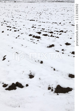 Snow scene 111306092