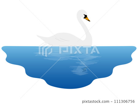 漂浮在湖中的天鵝 漂浮在湖中的天鵝 111306756