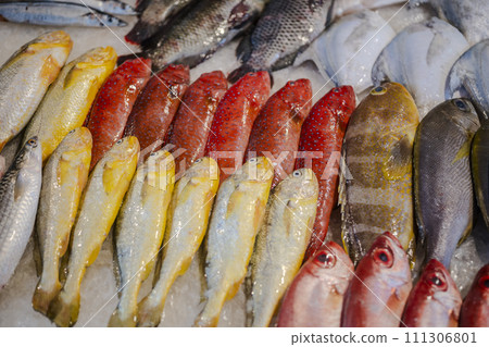 黃魚 黃魚 111306801