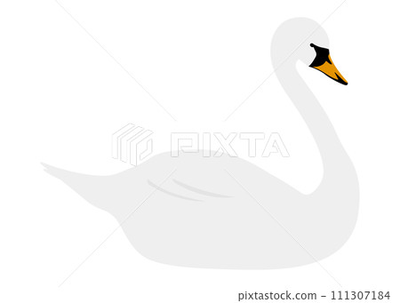 天鵝圖 111307184