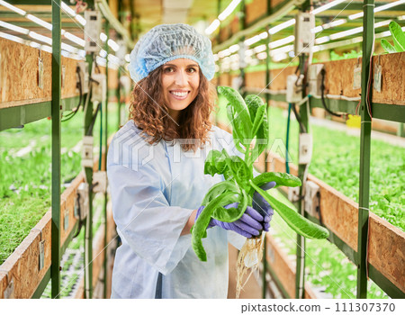Female gardener holding pot with green arugula plant in greenhouse. Portrait of woman in work overalls looking at camera and smiling while standing in aisle between racks with plants. 111307370