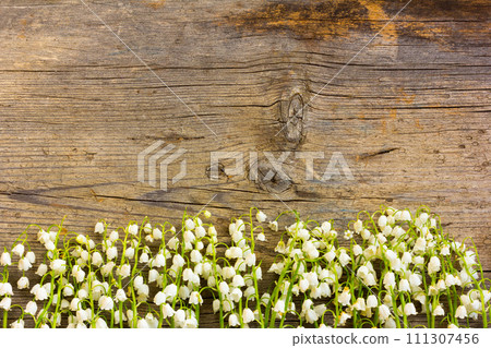 flowers lilies of the valley flowers lilies of the valley 111307456