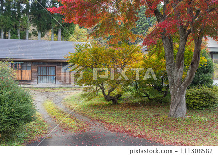 Autumn leaves on the Ofukasawa promenade in Naruko Gorge, a gorge in Naruko Onsen, Osaki City, Miyagi Prefecture, Japan 111308582
