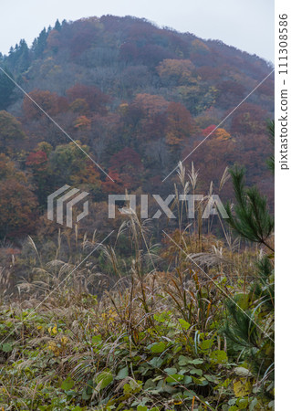 Autumn leaves at Naruko Gorge, a gorge in Naruko Onsen, Osaki City, Miyagi Prefecture, Japan 111308586