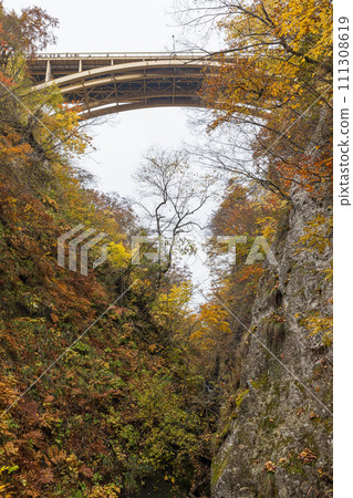 從日本宮城縣大崎市鳴子溫泉峽谷的回顧橋上看秋葉和大深澤橋 從日本宮城縣大崎市鳴子溫泉峽谷的回顧橋上看秋葉和大深澤橋 111308619