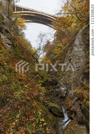 從日本宮城縣大崎市鳴子溫泉峽谷的回顧橋上看秋葉和大深澤橋 從日本宮城縣大崎市鳴子溫泉峽谷的回顧橋上看秋葉和大深澤橋 111308620
