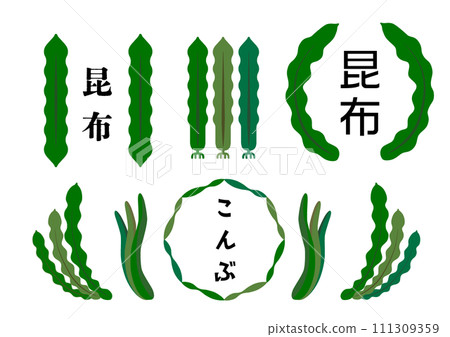 Kelp illustration material set 111309359