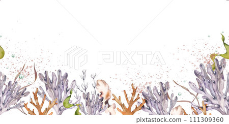 marine-themed seamless banner. shells, corals, starfish, algae. watercolor illustration. isolated on a white background. For fabric, textiles, wallpaper, clothing beach, summer accessories 111309360