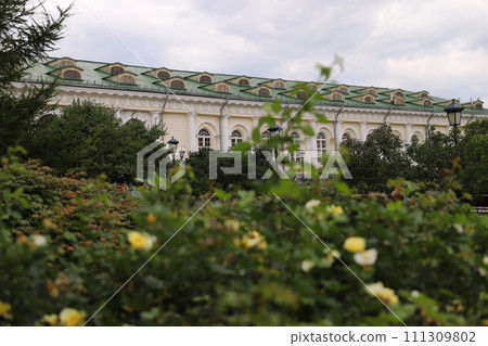 The blurred garden with white roses in front and beautiful architecture building on the background. 111309802