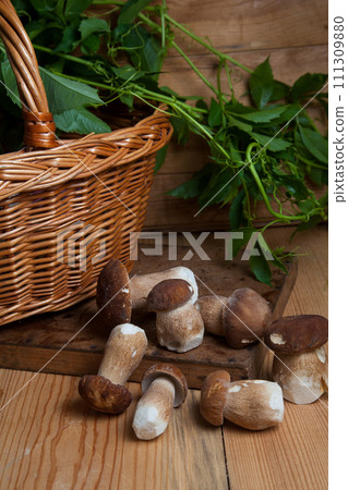 Several porcini mushrooms on wooden background at autumn season.. Several porcini mushrooms on wooden background at autumn season.. 111309880
