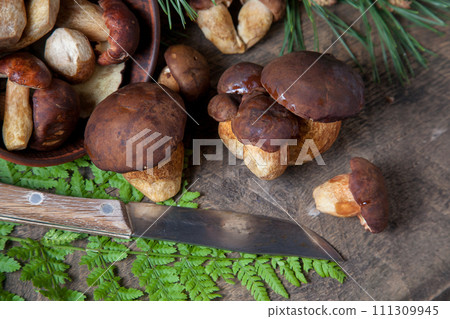 Imleria Badia or Boletus badius mushrooms commonly known as the bay bolete, clay bowl with mushrooms and knife on vintage wooden background.. Imleria Badia or Boletus badius mushrooms commonly known as the bay bolete, clay bowl with mushrooms and knife on vintage wooden background.. 111309945
