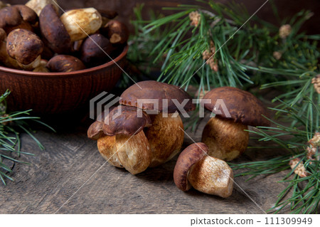 Imleria Badia or Boletus badius mushrooms commonly known as the bay bolete and clay bowl with mushrooms on vintage wooden background.. 111309949