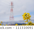Nanohana and steel tower 111310091