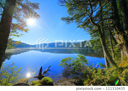 Shirakoma Pond, Nagano Prefecture 111310435