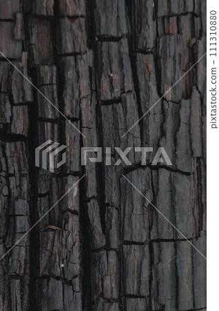 Burnt wood texture. Dark Abstract Wooden Background.. Burnt wood texture. Dark Abstract Wooden Background.. 111310880