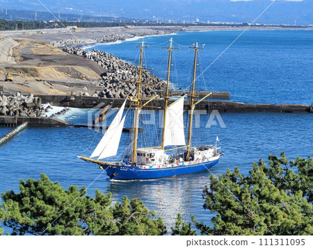 Sailing ship Mirai returns to Tagonoura Port, Shizuoka Prefecture, November Sailing ship Mirai returns to Tagonoura Port, Shizuoka Prefecture, November 111311095
