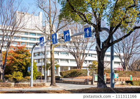 [Key bus lane] Complex road signs 111311166
