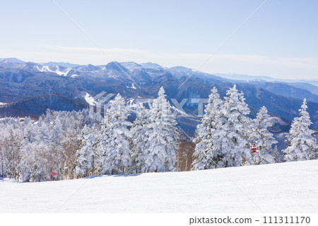 Shiga Kogen Ski Resort on a sunny day Shiga Kogen Ski Resort on a sunny day 111311170