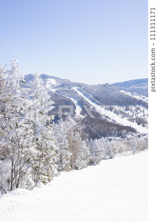Sunny weather at Shiga Kogen Yakebiyama Ski Resort 111311171