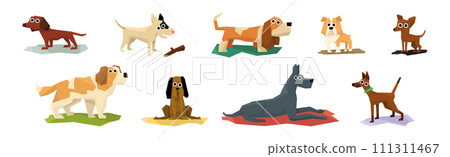Different Dog Pet Breeds Flat Icon Vector Set 111311467