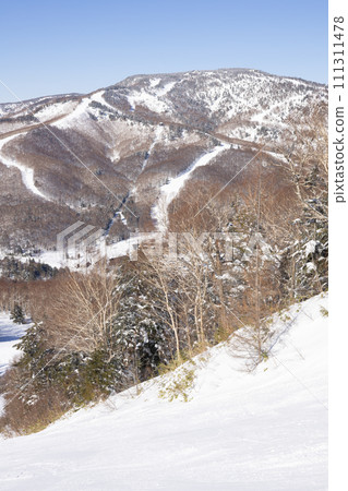 Shiga Kogen Ski Resort on a sunny day Shiga Kogen Ski Resort on a sunny day 111311478