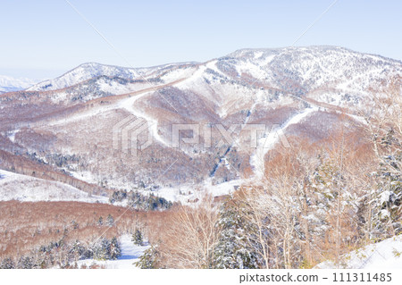 Shiga Kogen Ski Resort on a sunny day Shiga Kogen Ski Resort on a sunny day 111311485