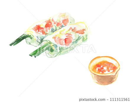 Illustration of fresh spring rolls painted in watercolor 111311561