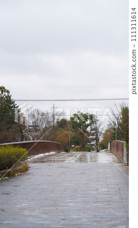 [千葉縣千葉市] 大湯野/四季之路 - 白雪覆蓋的“冬路/冬路橋” 111311614