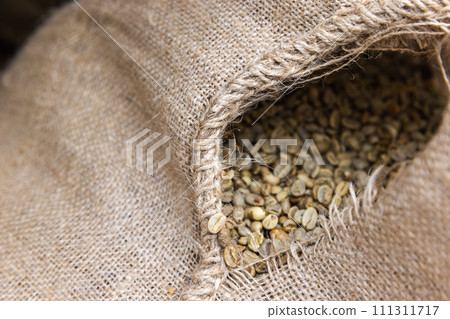 Jute bag with a hole is full of green coffee seeds, close up photo Jute bag with a hole is full of green coffee seeds, close up photo 111311717