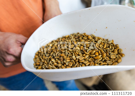 Fermented coffee just beans before roasting. Selected Arabica coffee Fermented coffee just beans before roasting. Selected Arabica coffee 111311720