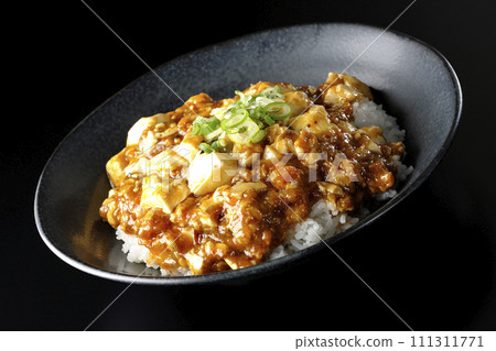 Mapo bowl with plenty of tofu and green onion is photographed against a black background Mapo bowl with plenty of tofu and green onion is photographed against a black background 111311771