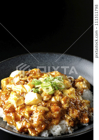 Mapo bowl with plenty of tofu and green onion is photographed against a black background 111311798