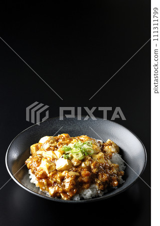 Mapo bowl with plenty of tofu and green onion is photographed against a black background 111311799
