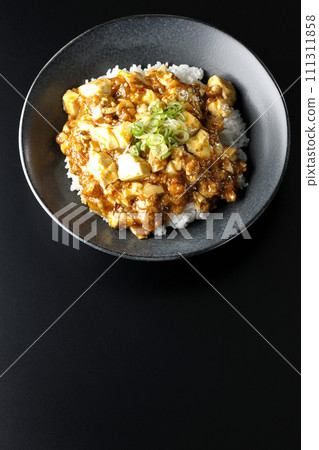 A bird's-eye view of a mapo bowl topped with plenty of tofu and green onions against a black background 111311858