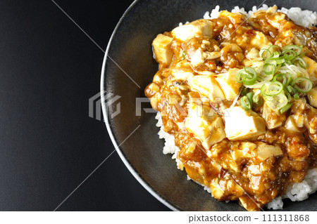 A bird's-eye view of a mapo bowl topped with plenty of tofu and green onions against a black background 111311868