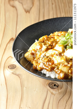 Mapo bowl with plenty of tofu and long green onions 111311973
