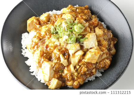A bird's-eye view of a mapo bowl topped with plenty of tofu and green onion against a white background 111312215