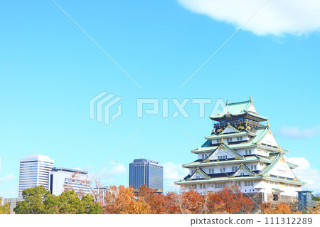 大阪府大阪市大阪城風景 111312289