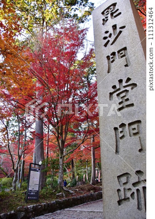 京都市，山科毗沙門多門跡石柱和神社參道上的秋葉 111312464
