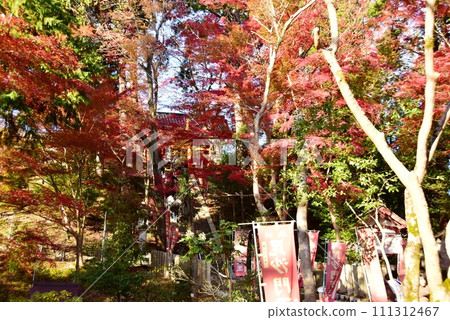 Autumn leaves covering the steep steps leading to the Niomon gate of Bishamondo in Yamashina, Kyoto City Autumn leaves covering the steep steps leading to the Niomon gate of Bishamondo in Yamashina, Kyoto City 111312467