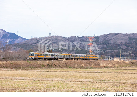[Tokaido Main Line] Local train running towards Ogaki 111312761