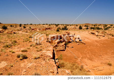 Rugged and Desolate Landscape Petrified Forest Arizona Rugged and Desolate Landscape Petrified Forest Arizona 111312879