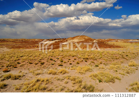 Rugged and Desolate Landscape Petrified Forest Arizona Rugged and Desolate Landscape Petrified Forest Arizona 111312887