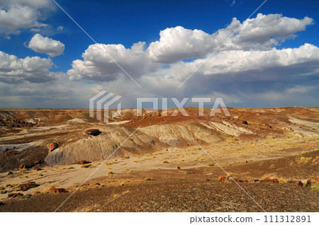 Rugged and Desolate Landscape Petrified Forest Arizona 111312891